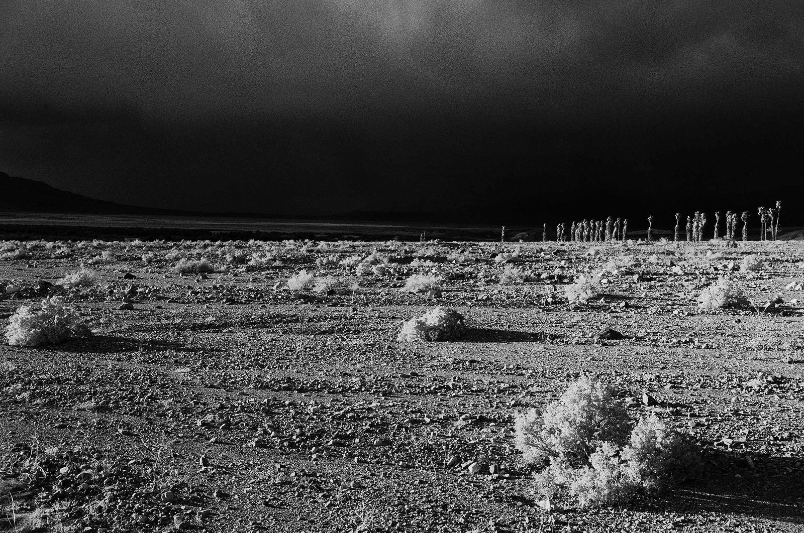 Fotografie California