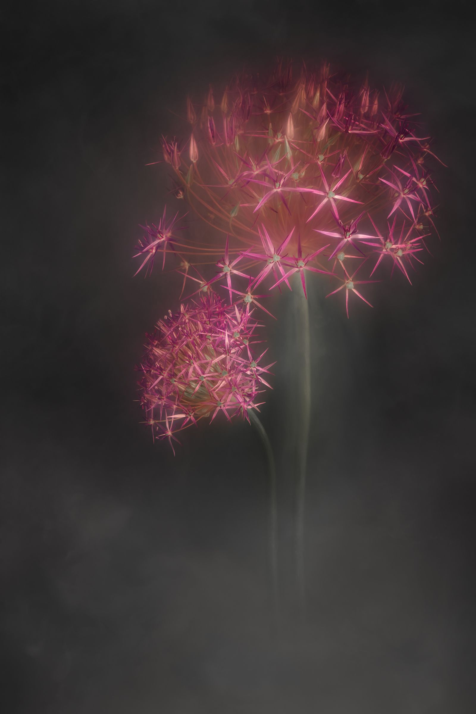 dxo-Sessie zonder titel4448.jpg