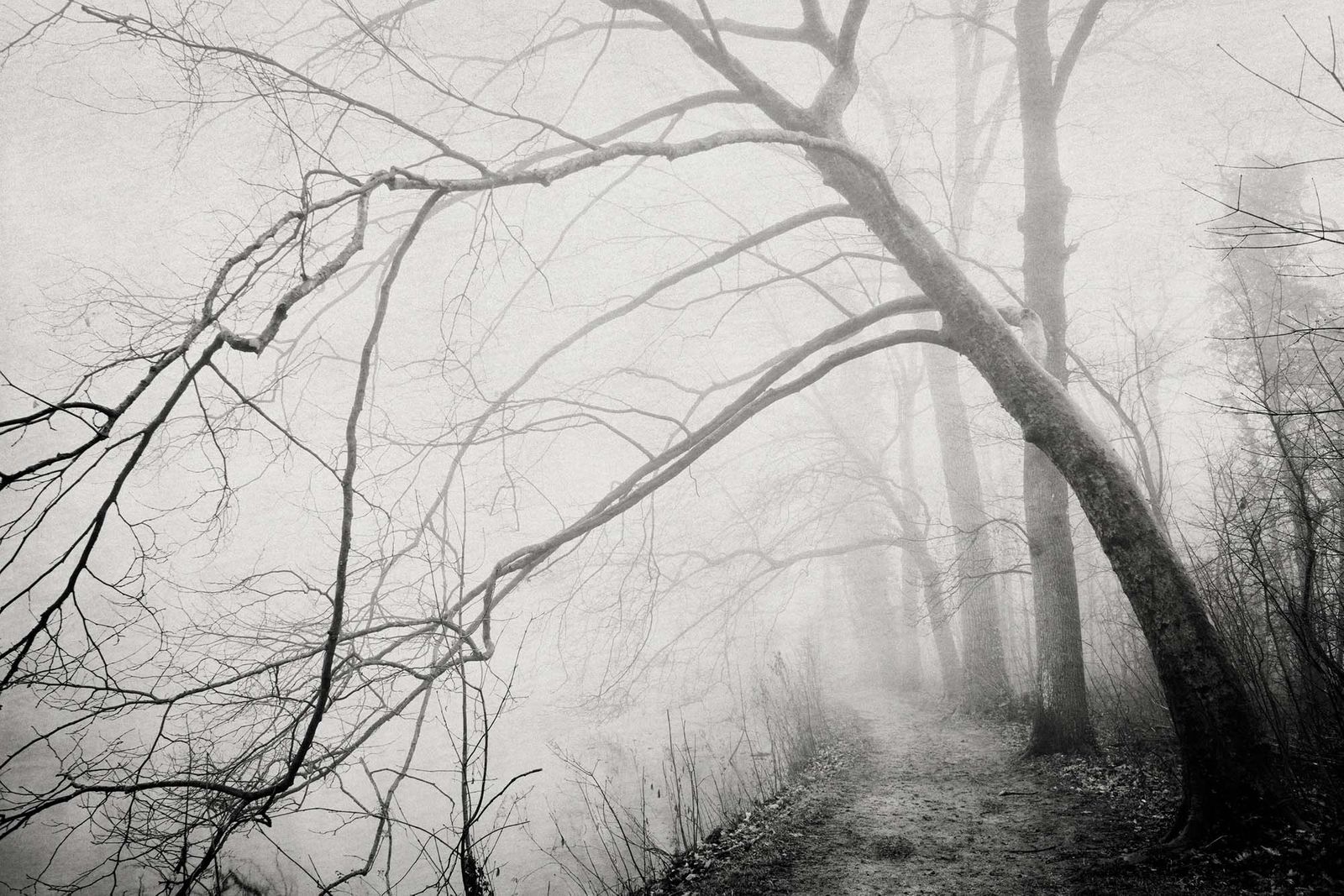 07_landschap_robertpeekfotografie