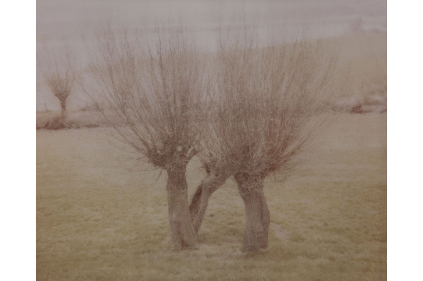 32_landschap-polaroid_robertpeekfotografie