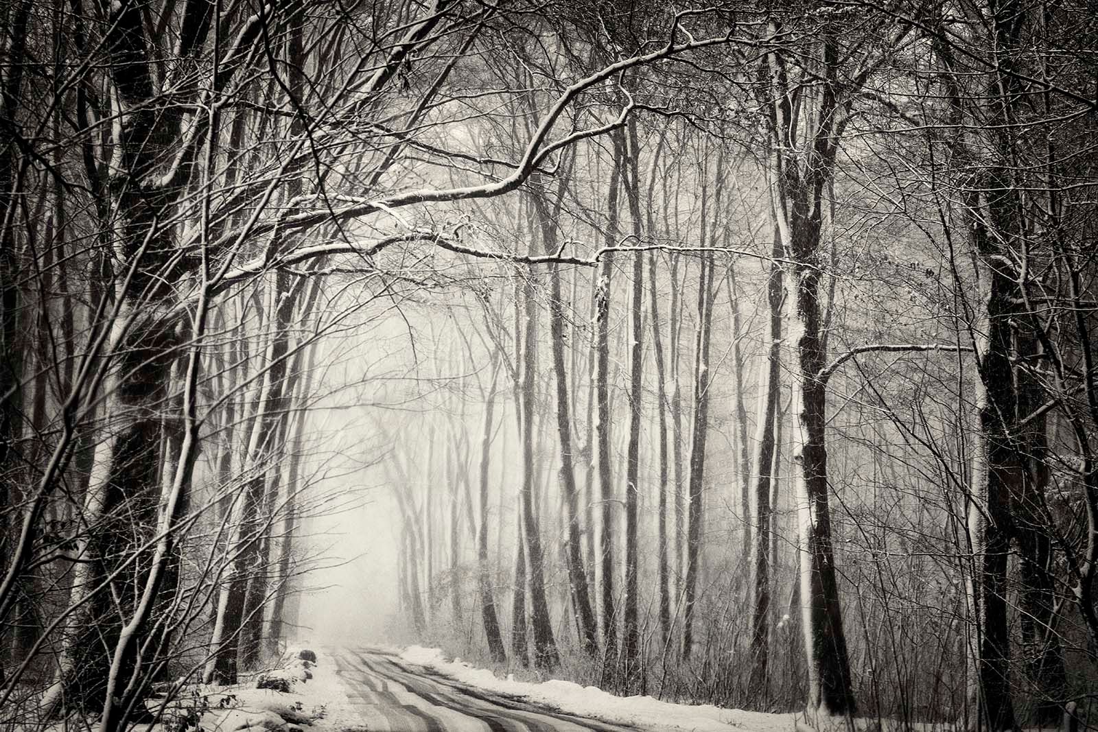 52-snow_11-12-17_zw_robertpeek