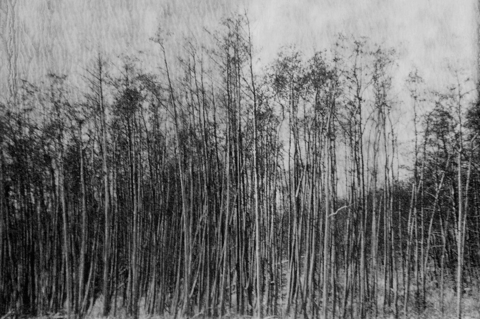 28_landschap_polaroid-robertpeek