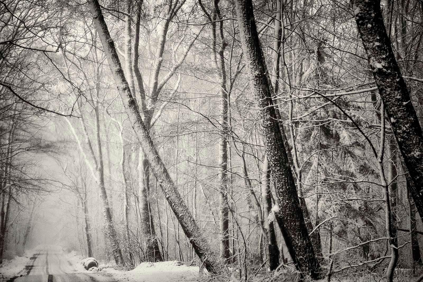 53-snow_11-12-17_zw_robertpeek