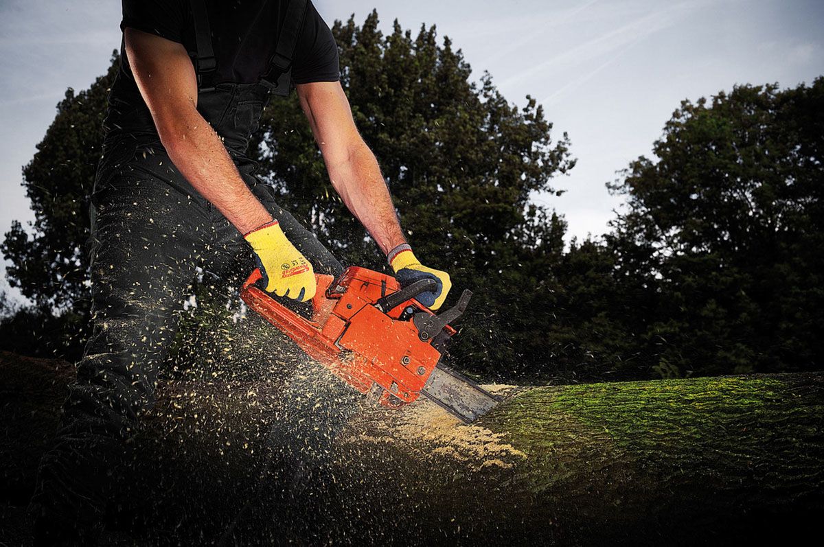 Waal aan de Maas_robertpeekfotografie