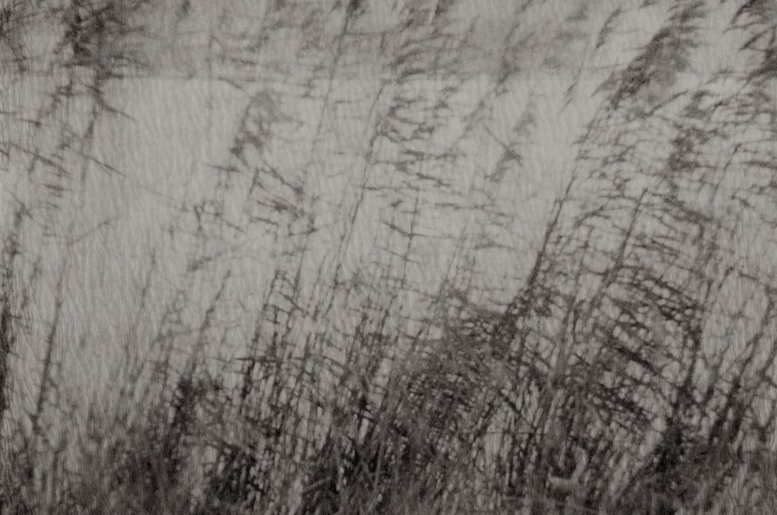 27_landschap_polaroid_robertpeek