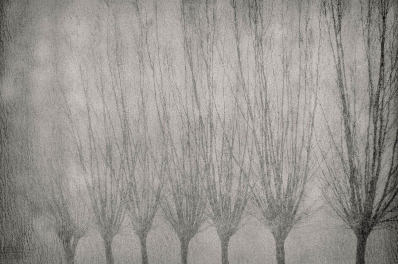 39_landschap_robertpeekfotografie