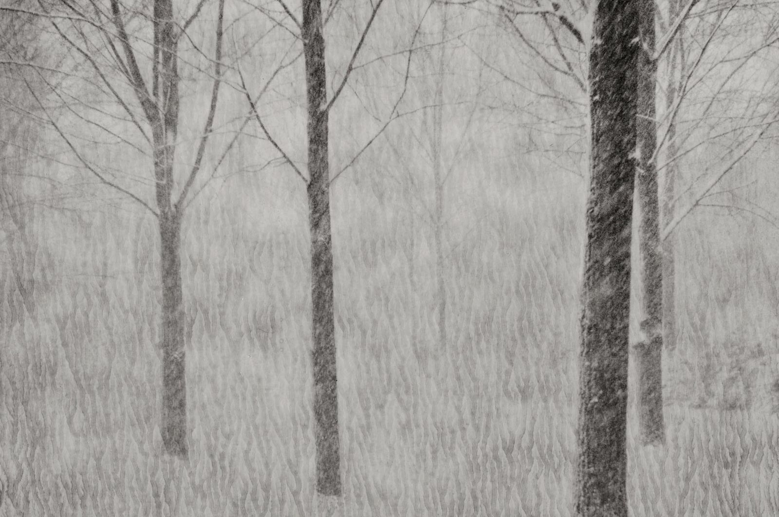 29_landschap_polaroid_robertpeek