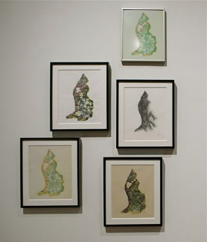 Photograph of "Liechtenstein" series, as exhibitied at Christopher Henry Gallery, New York.  April 2010