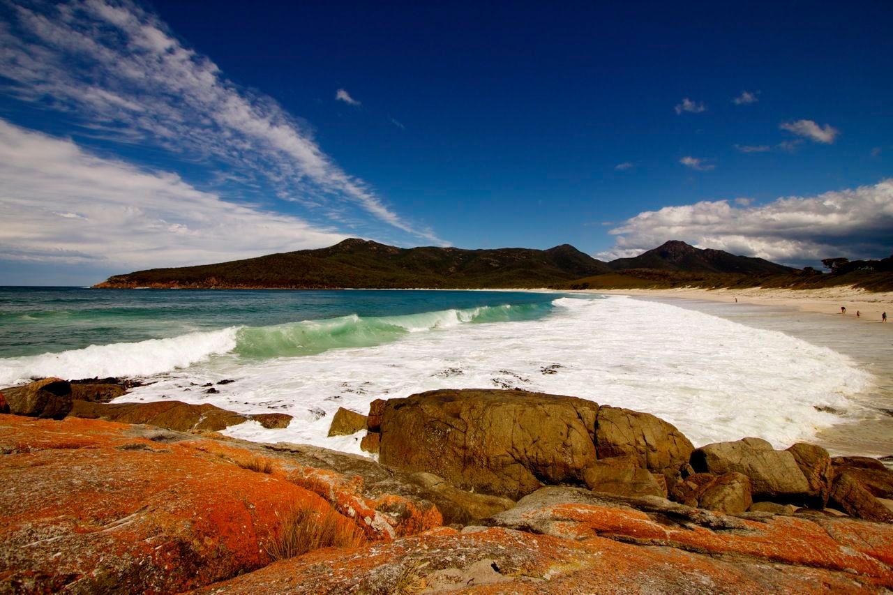 1wineglasslichenimg_7163