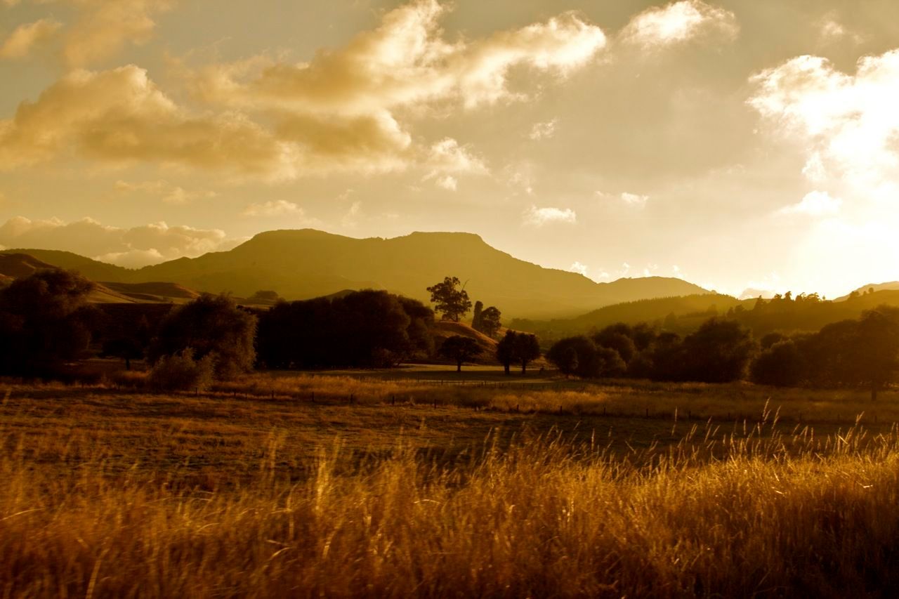 1morningvalleyimg_7940