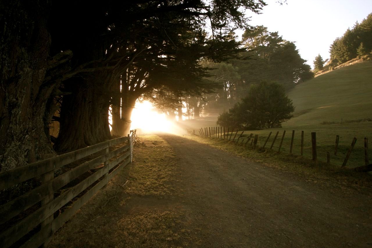 1largermorningimg_8010