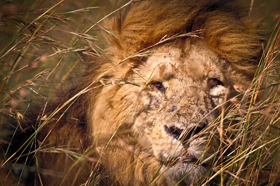 1surf_the_murph__2_of_9_