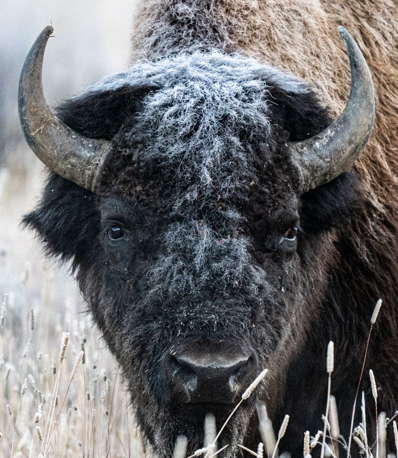 MT Oct. 2023-551.jpg