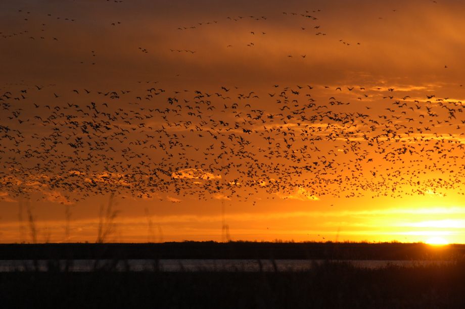 1surf_the_murph__4_of_19_