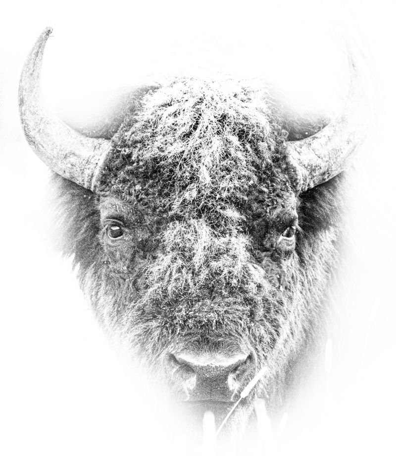 MT Oct. 2023-551-Edit.jpg