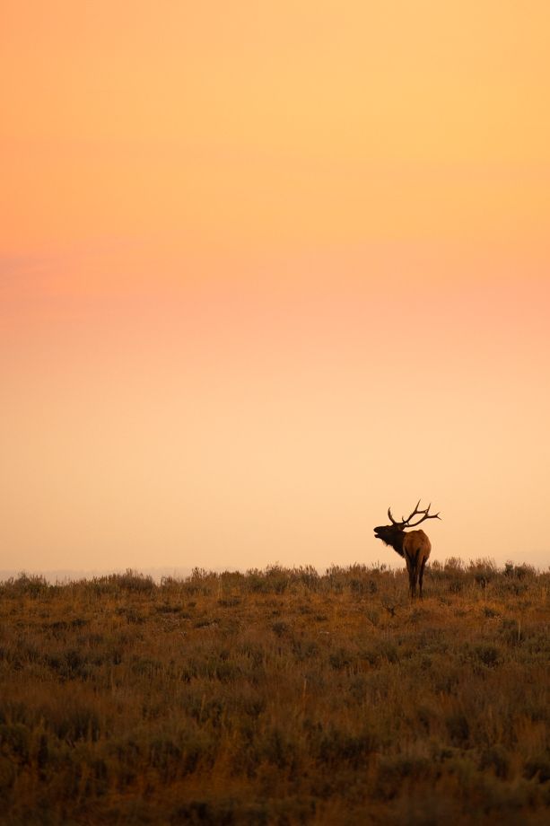 Fall Tetons-2626.jpg