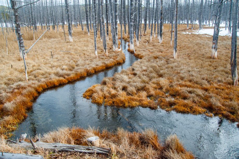 1yellowstone_park_1562
