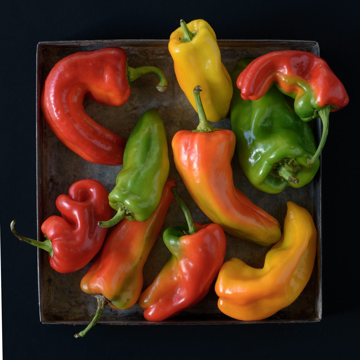 Lynn Karlin_Peppers in Tray-7.jpg