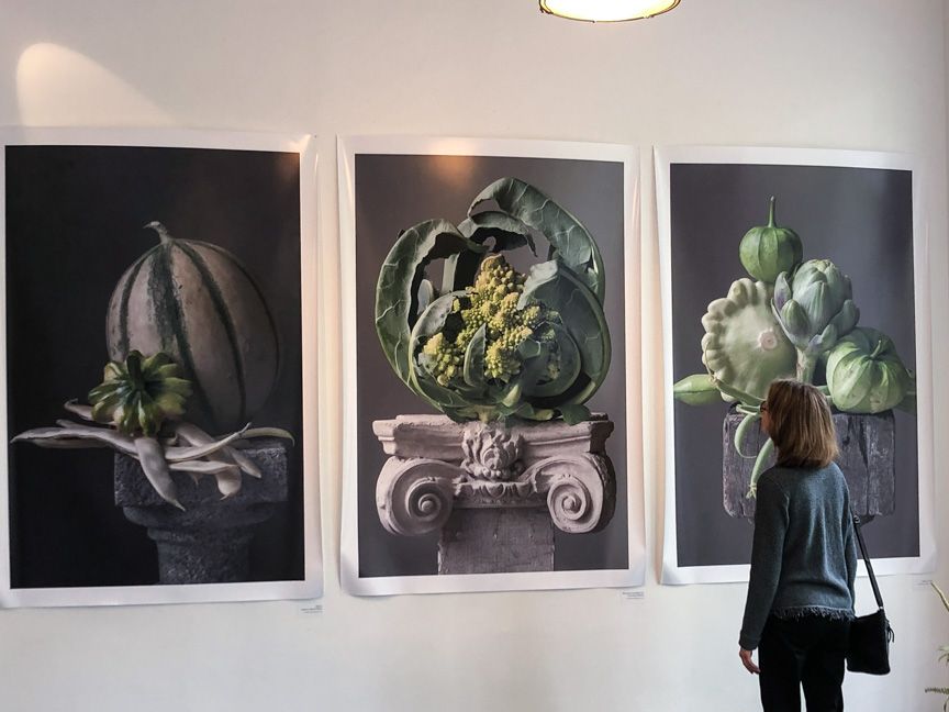 Photos by Lynn Karlin-7.jpg