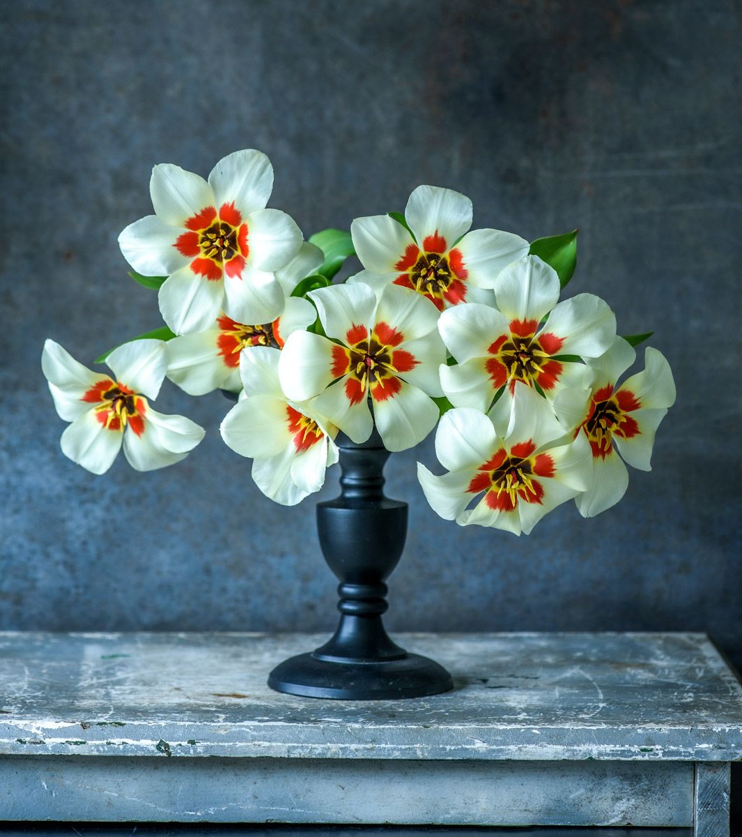 Lynn Karlin_Tulips on Peestal.jpg