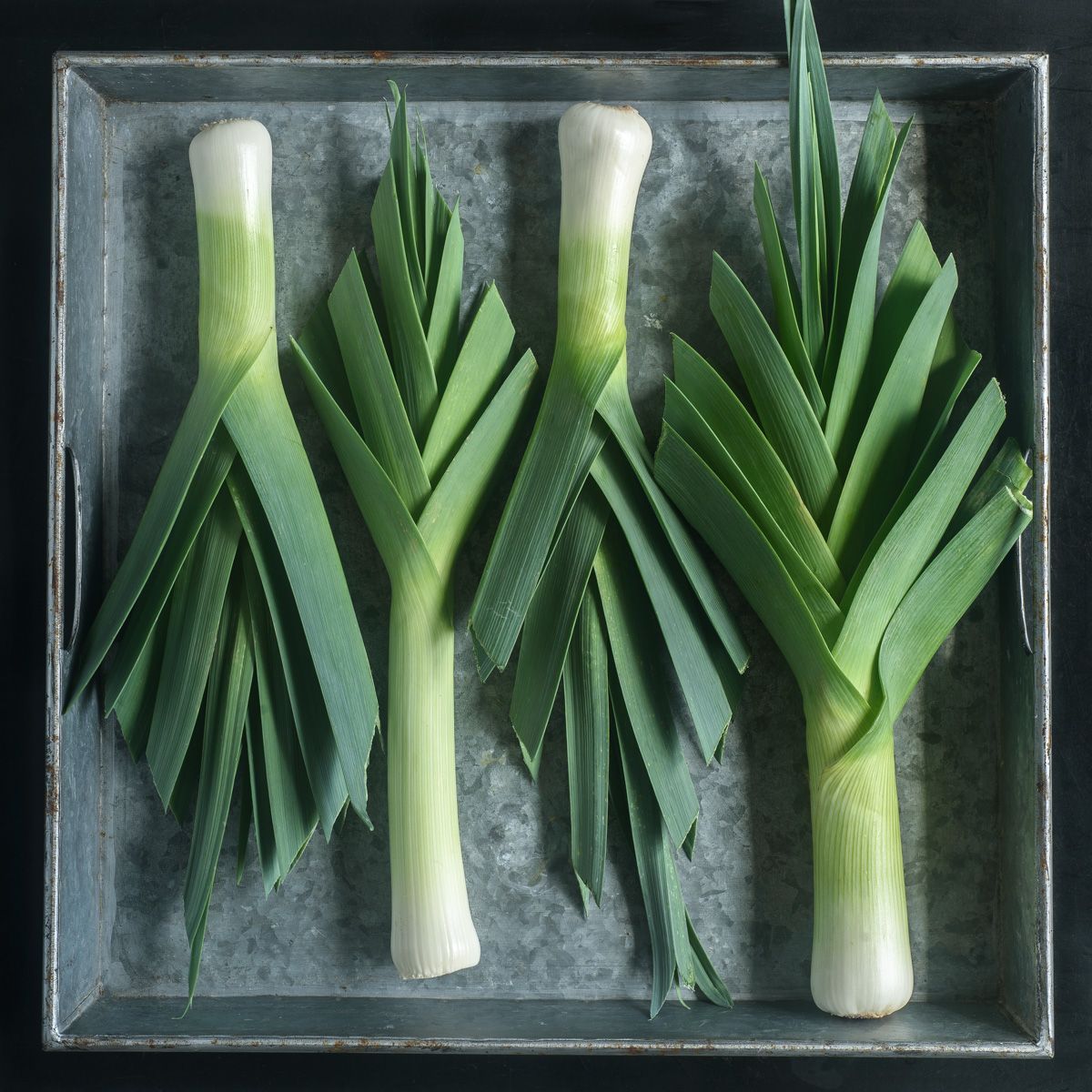 Lynn Karlin_5 Leeks-4.jpg