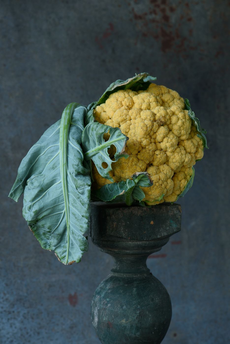 Lynn Karlin_Orange Cauliflower with Leaf.jpg