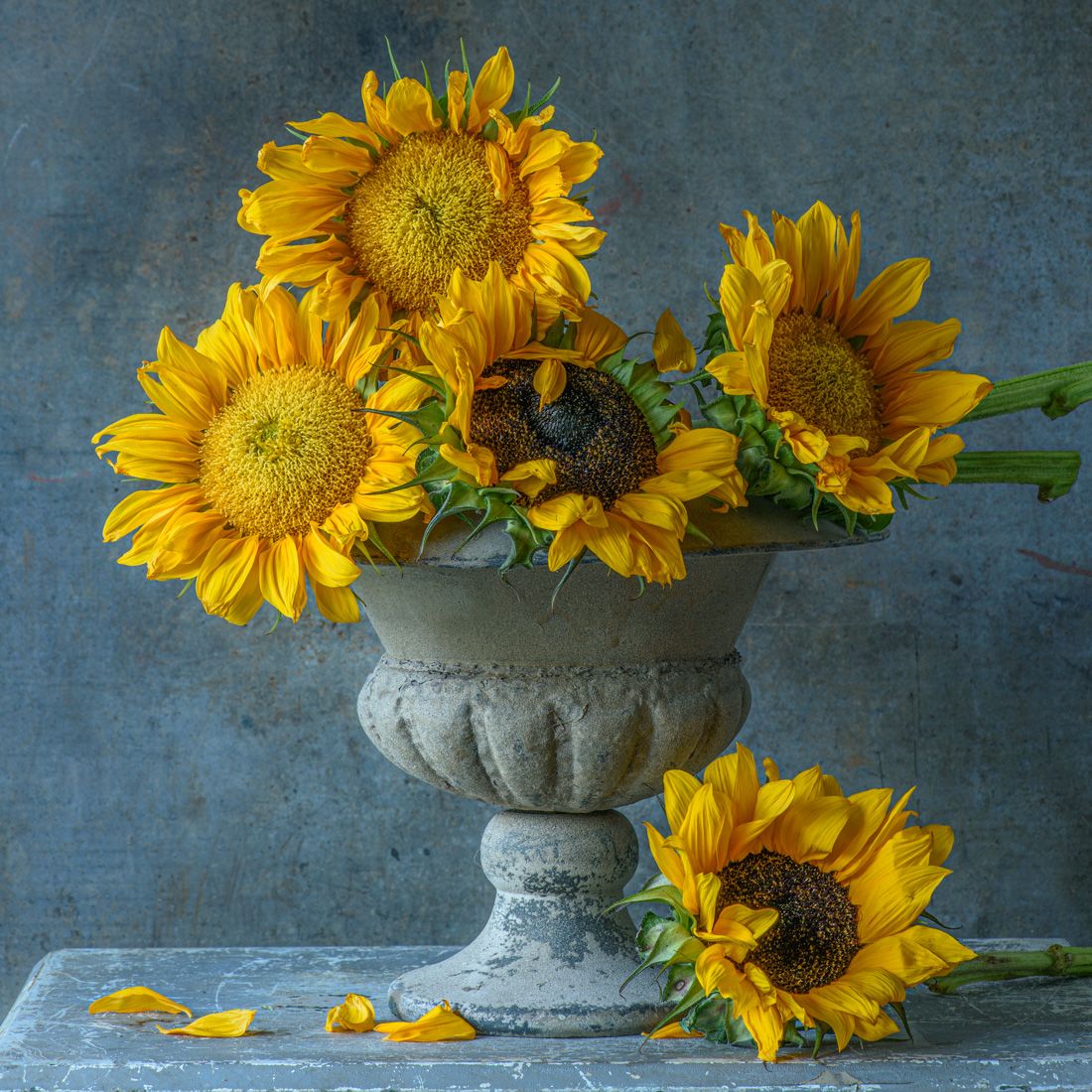 Lynn Karlin_Sunflowers in White Urn.jpg
