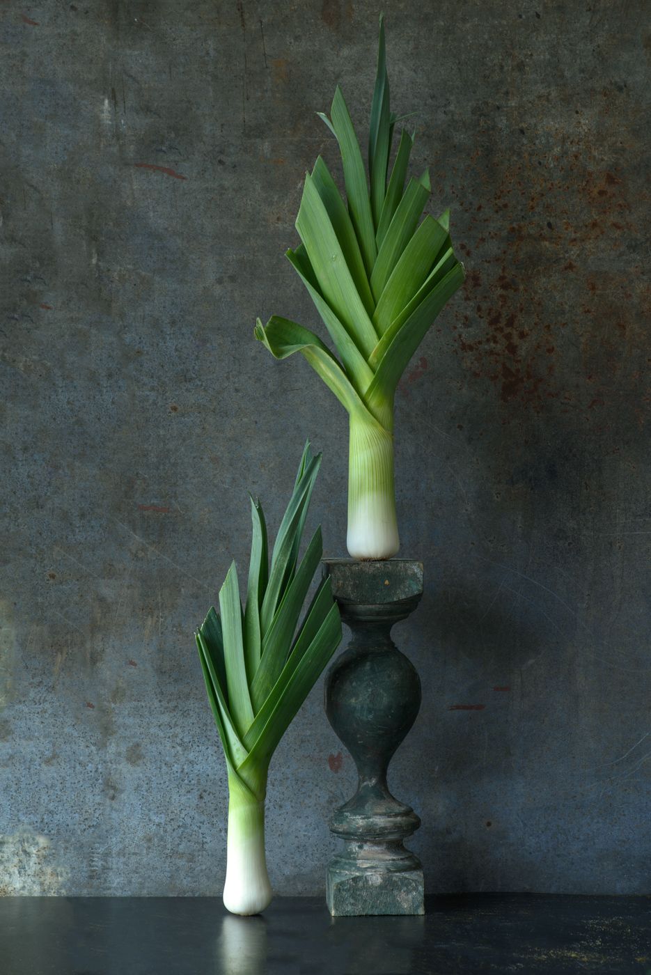 Lynn Karlin_Leeks on Pedestal .jpg