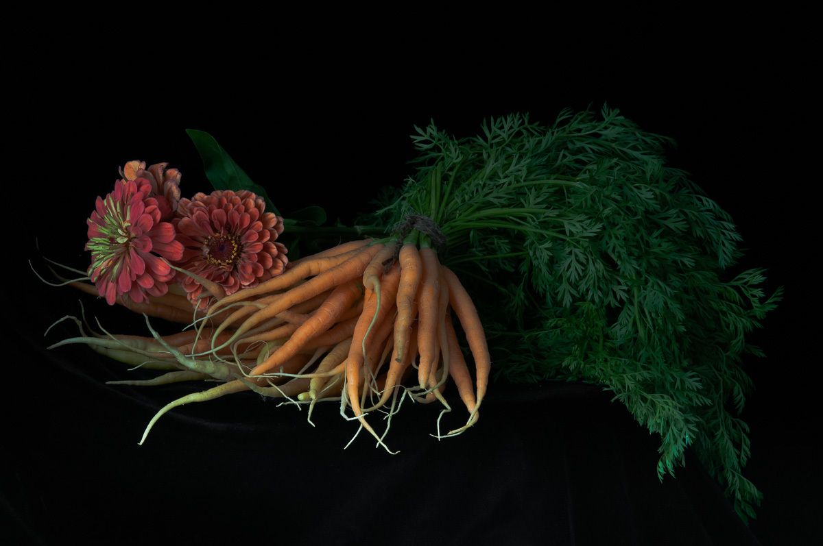 Tender Carrots