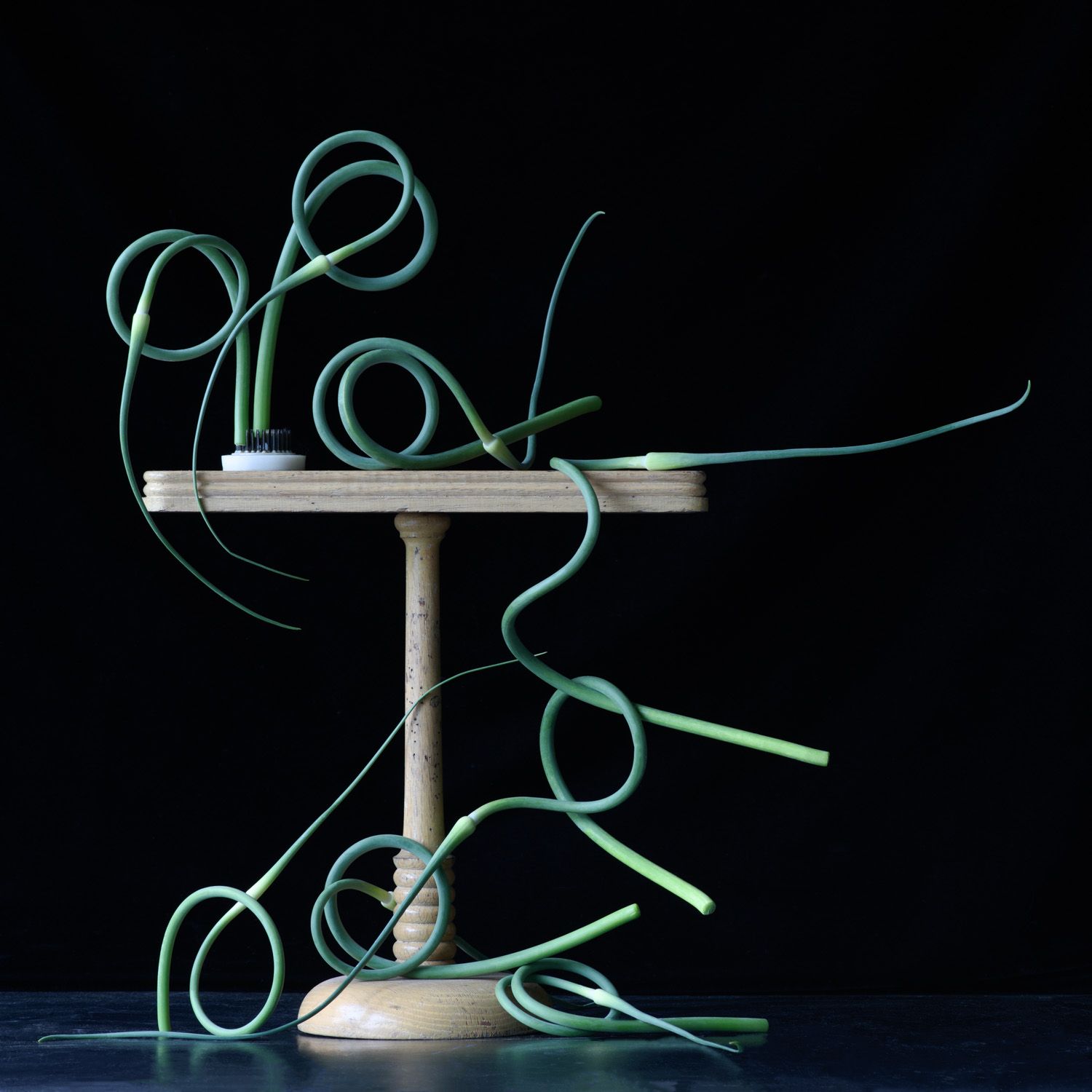 Lynn Karlin_Garlic Scapes on Stand.jpg