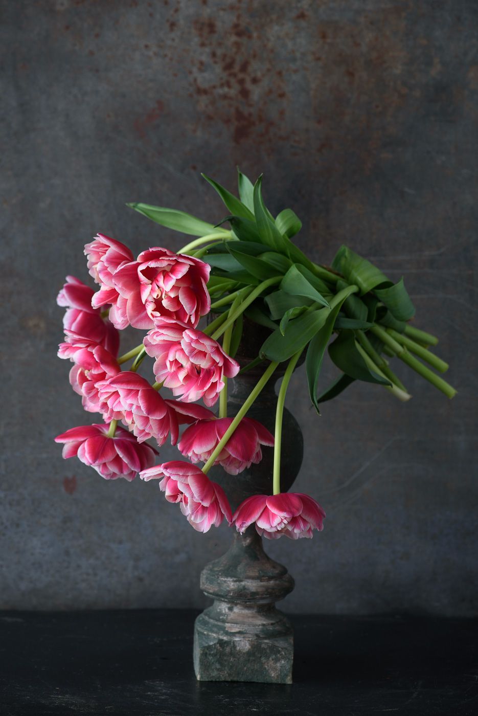 Lynn Karlin_'Columbus' tulips #2.jpg