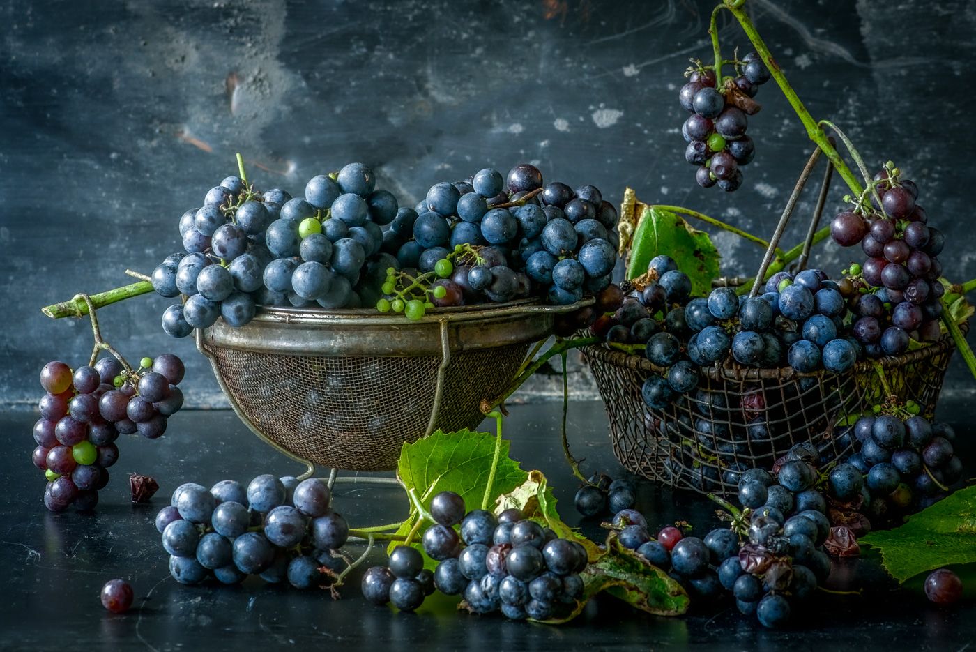 Lynn Karlin_Polly's Concord Grapes-4-Edit-Edit.jpg