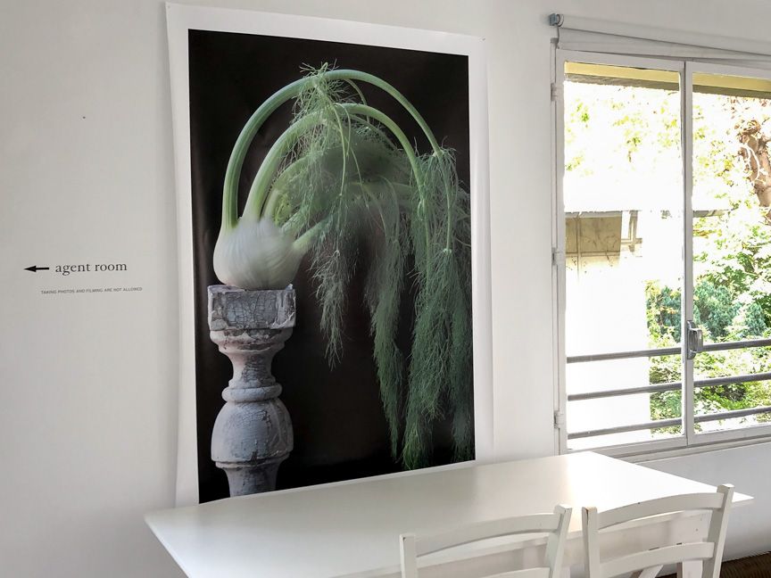 Photos by Lynn Karlin-11.jpg