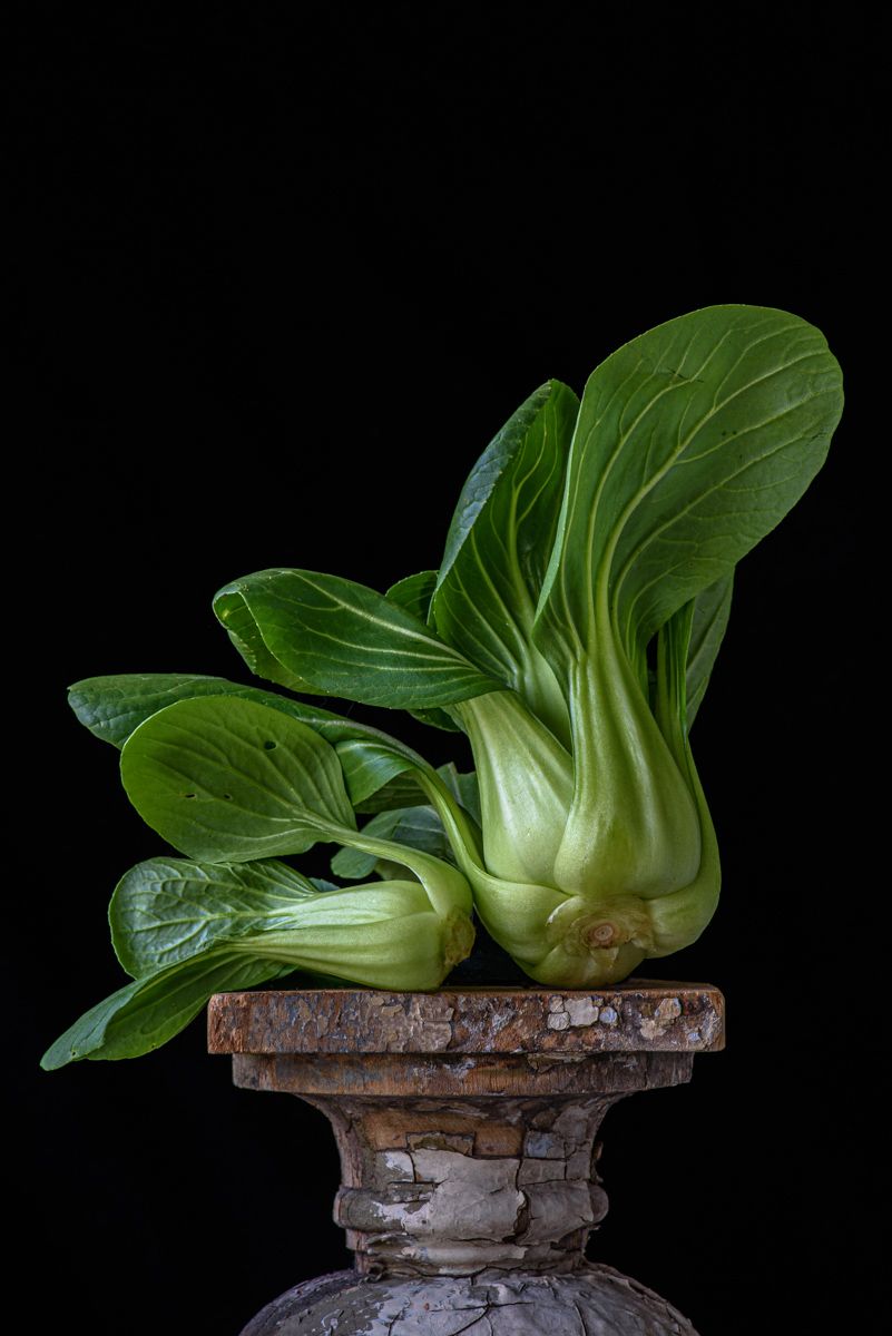 Lynn Karlin_Pak Choi.jpg