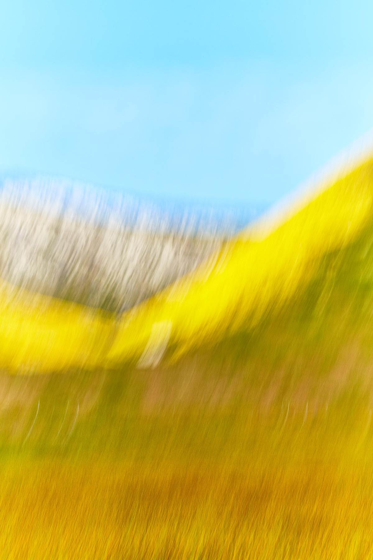 wildflowers_mountains_sky_yellow_intentional_camera_movement_fine_art_dorit_thies_landscape_california_LB_DT_Wildflowers_202304_2U9A8348 copy.jpg