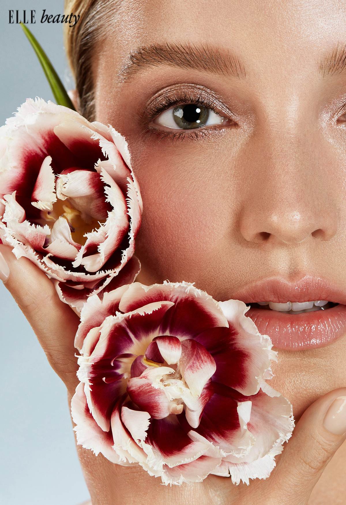 TULIP SKIN CARE INGREDIENTS_ELLE
