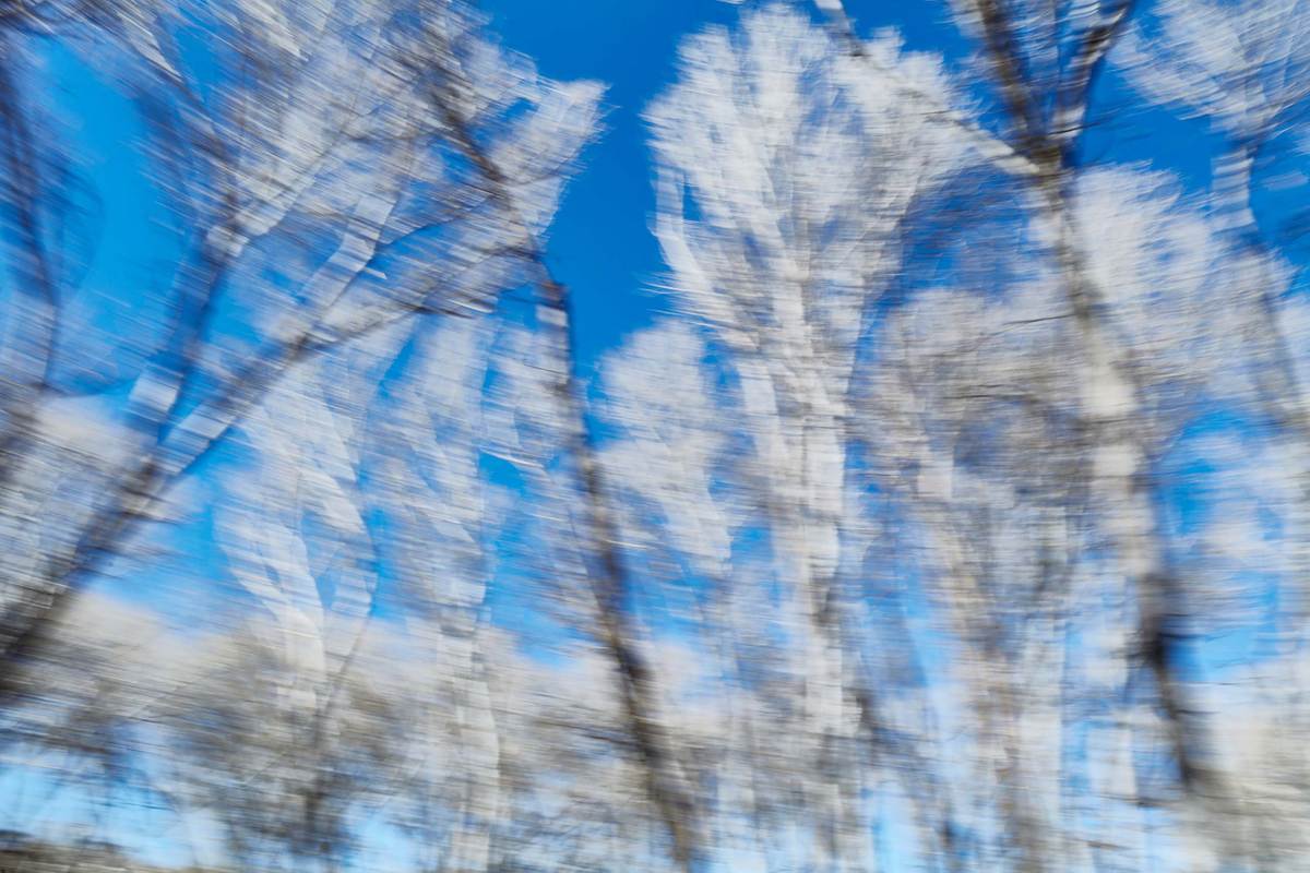 white tree branches photographed against the blue sky doing intentional Camera Movement