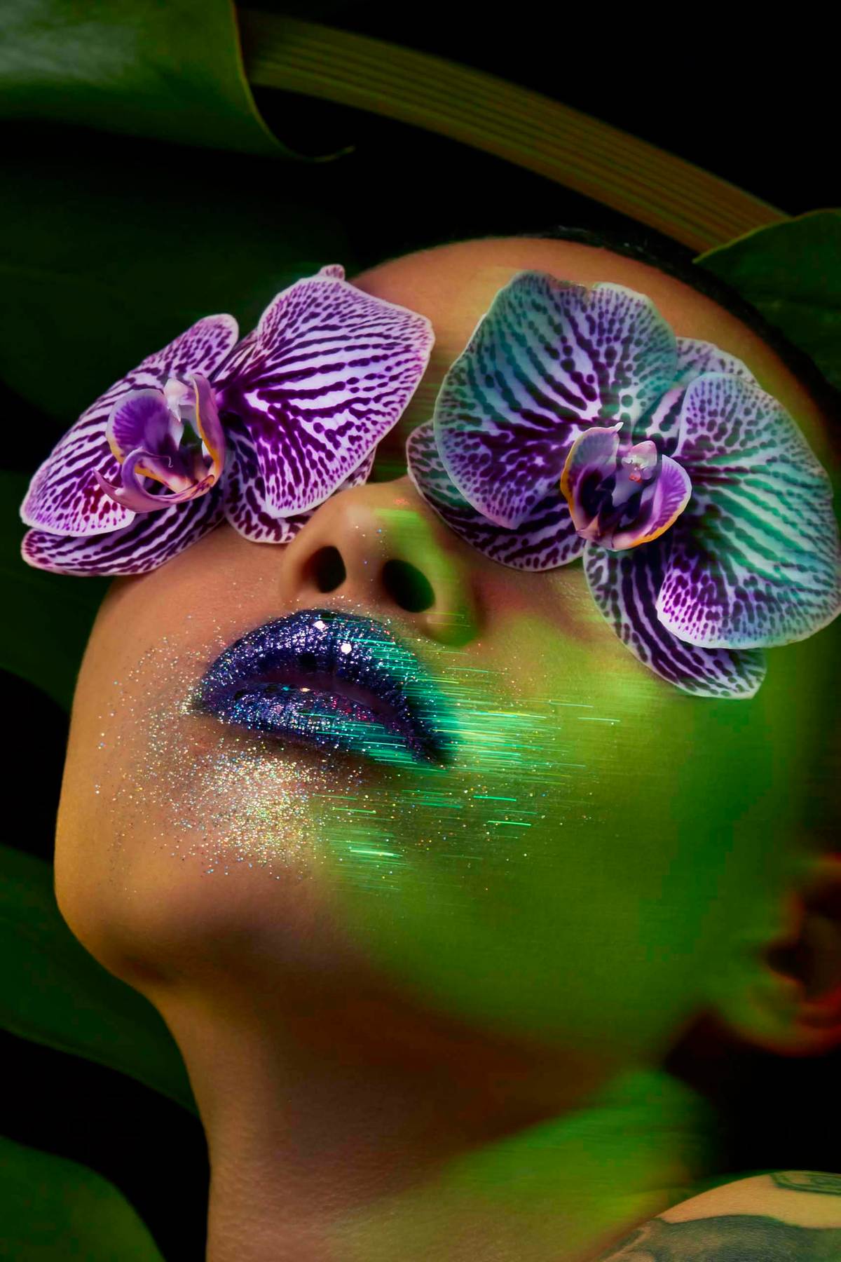 ORCHIDS_eyes_face_glitter_mouth_lips_african_american_green_tropical_beauty_dorit_Thies_Los_Angeles_B_closeup_DoritThies_0610 copy.jpg