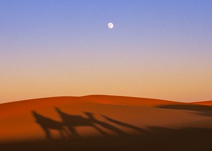Camel Riders, Sahara Desert, Morocco 