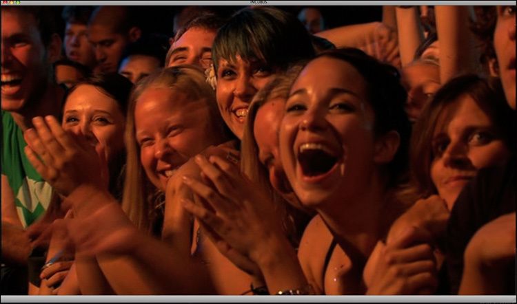 Incubus DVD - Look Alive