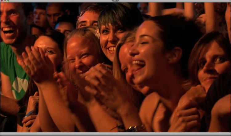 Incubus DVD - Look Alive