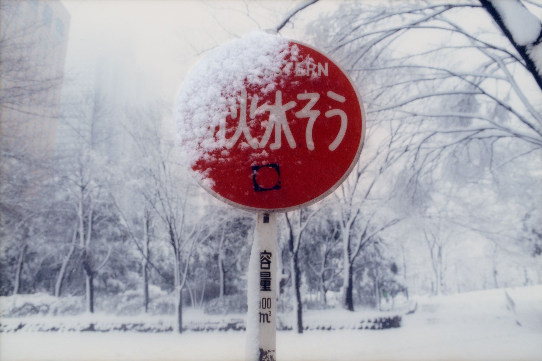 Snowy stop sign in Tokyo.