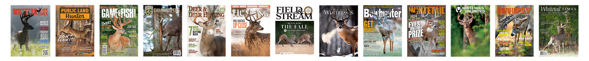 Some Cover Examples_web.png