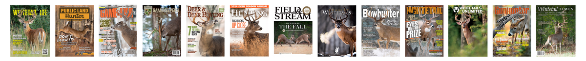 Some Cover Examples_web25.png