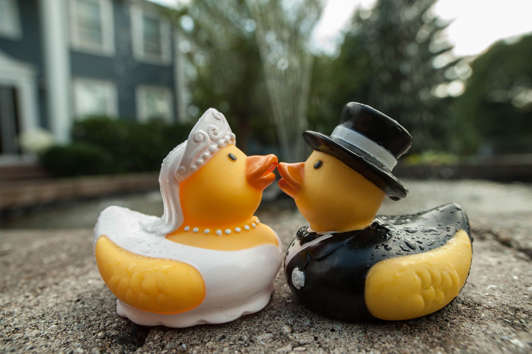 1wedding_weymouth_wedding_dsc_5064___2015_derek_kouyoumjian