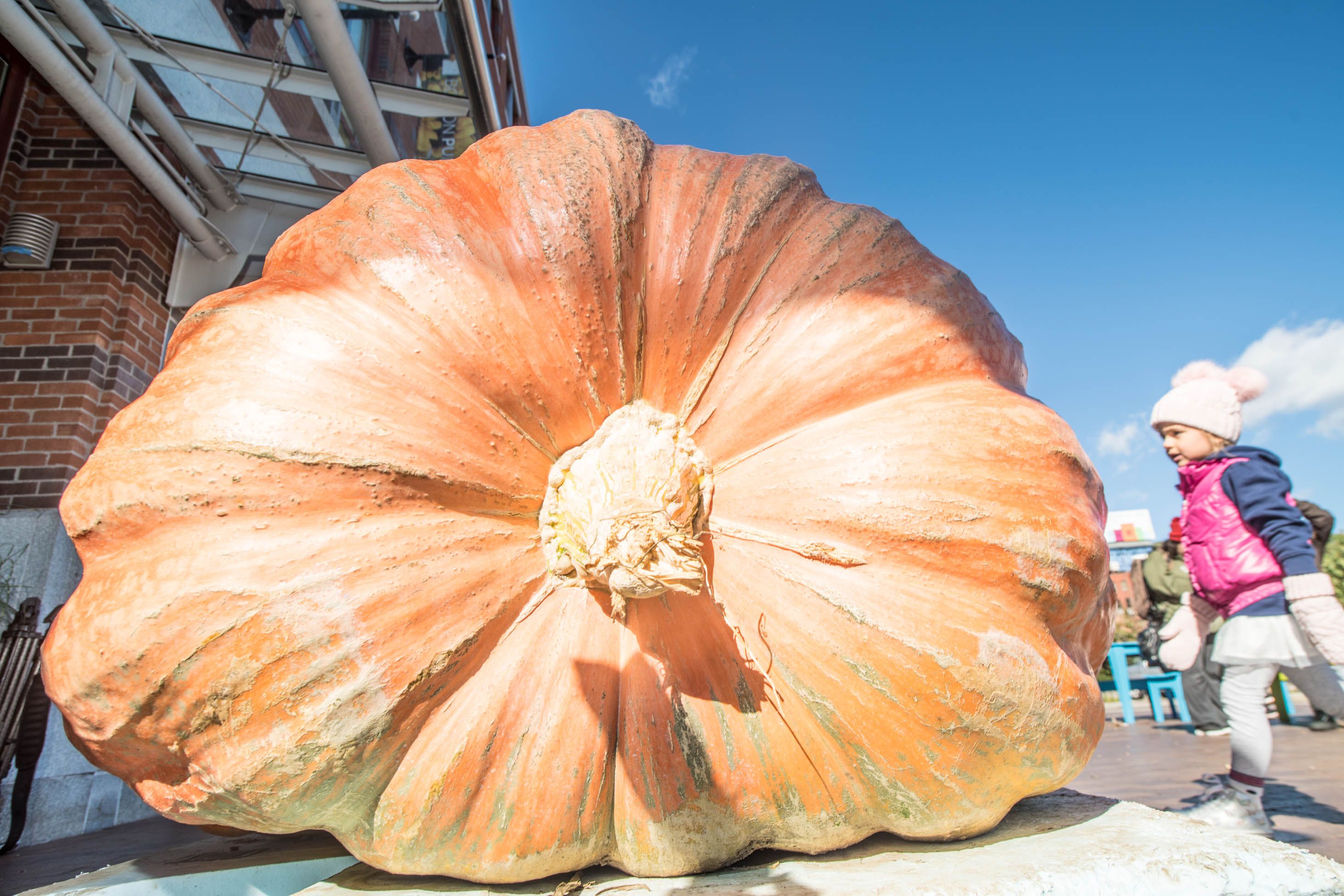 9_Giant Pumpkin@BPM_101818_DSC_7718_Â©2018 Derek Kouyoumjian.jpg