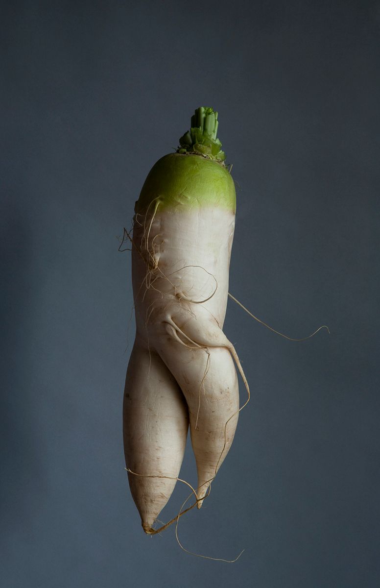 Radish_pose.jpg