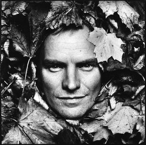 Sting