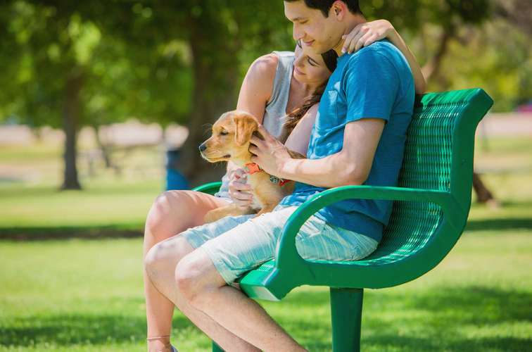 Screenshot 2025-09-06 at 4.17.43%E2%80%AFPM.png