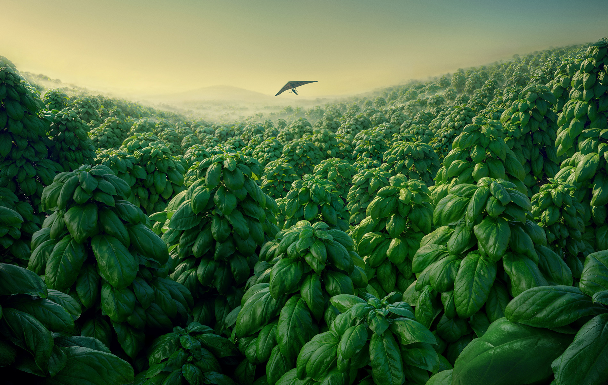 Screen Shot 2026-02-26 at 2.57.10 PM.png